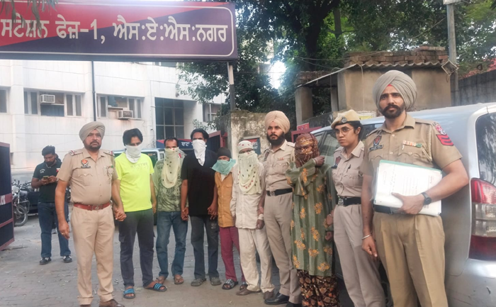 Mohali police arrested five accused and one woman for robbery and theft along with 20 mobiles and an Innova car.
